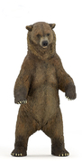 6875551_medved-grizzly.jpg