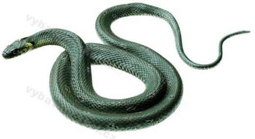 uzovkaobojkova.png