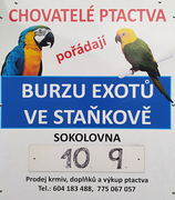 F_exoti.jpg